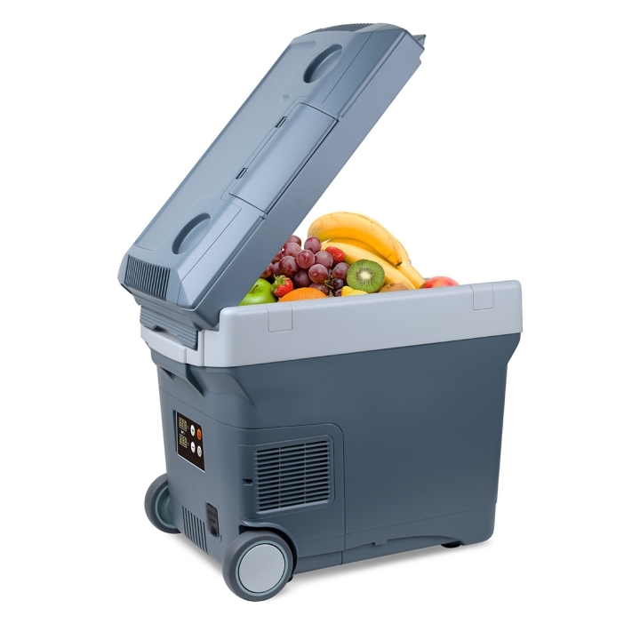 MR146DB_with Fruits