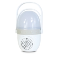 BT-01_White